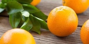 Fillmore-Piru Citrus